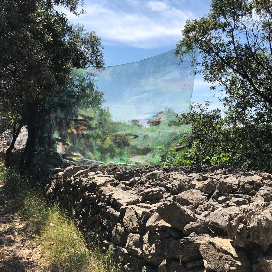 Val Des Bruyeres - Gite 15Mn Pezenas Avec Terrasse Et Cour Close - Parking Privatif Securise - Wifi Ftth Gratuit Neffies 外观 照片